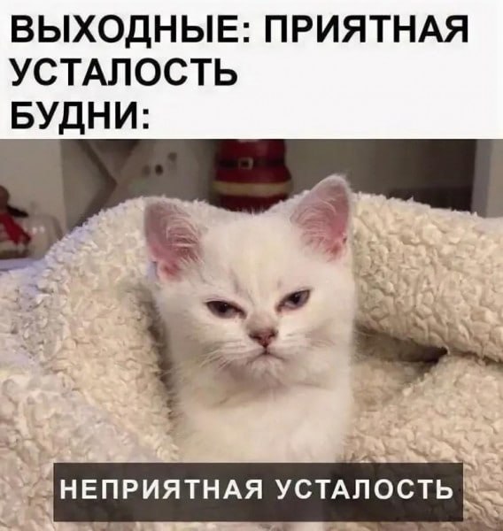 Чем больше детей, тем ниже процент, а жилье просторнее: как может измениться семейная ипотека уже в 2026 году Чем больше детей, тем ниже процент, а жилье просторнее: как может измениться семейная ипотека уже в 2026 году