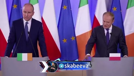 Премьер Польши Туск записал русофоба Навроцкого в союзники Путина и Лаврова (нам такие союзники не нужны)