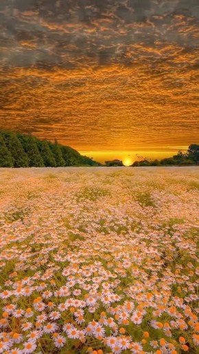 ��������� ����, ������!. ������