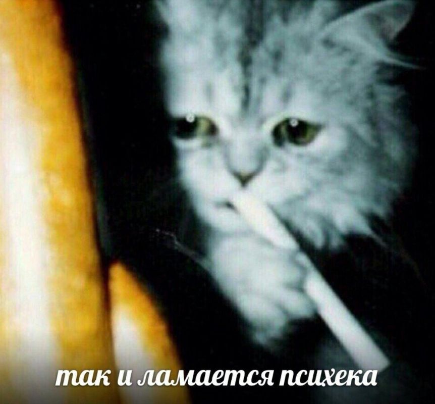 ������� ������: ������ ���������� ��� "���� ������� ����"