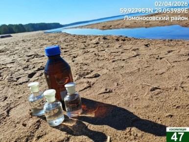 Эконадзор Ленобласти нашел фейковую жижу в Липово