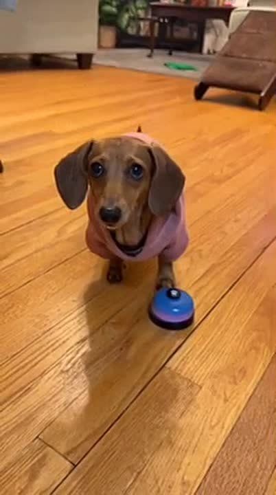 ������������ ������� ����������: