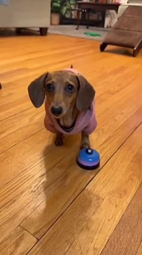 ������������ ������� ����������: