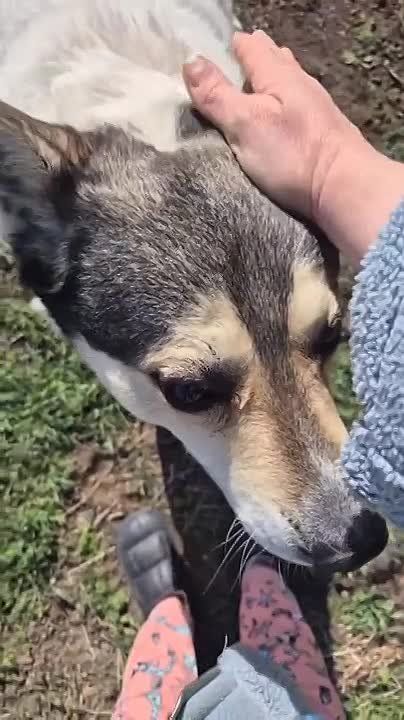 ���� ��������: �� ������ �� ����� �������