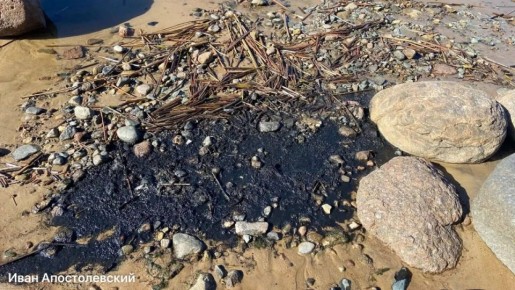 Депутат ЗакСа Ленобласти проверил черную жижу на пляже, которую не нашел Эконадзор