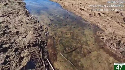 Загрязнение пляжа в Липово комитет госэконадзора Ленобласти назвал подделкой