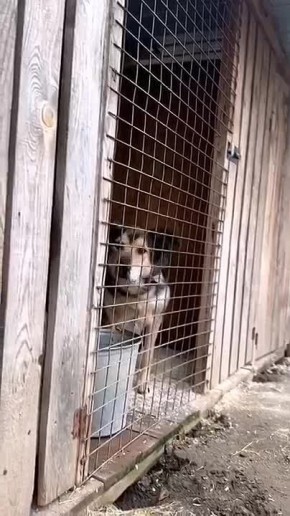 ���� ��������: ����� ������!. �� ���� �������! ��� ������ ���! ����� 170 ��������� ������� �� ��� � �������� � �������