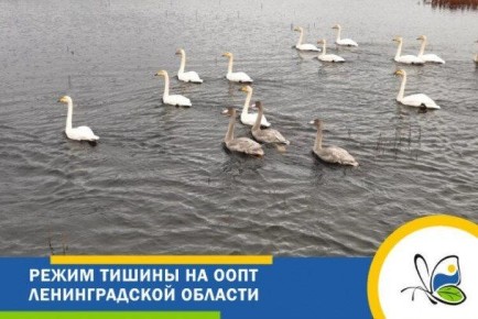 ����� ���������� ���������� ��������� ��� �����������