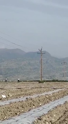 ���� ����: �������� ������: �������� ����������� ������������ ������������ �������� Sikorsky UH-60 Black Hawk