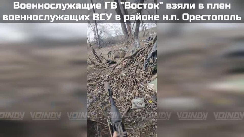 � ���� �����: ����� � ���������� �������� ����������� ����������