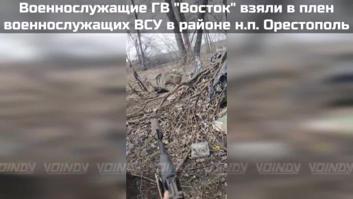 � ���� �����: ����� � ���������� �������� ����������� ����������