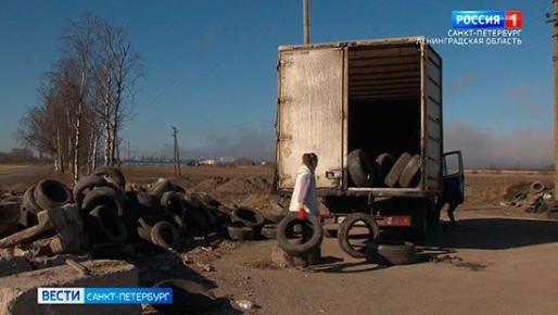 В Приморском районе экоактивисты вывезли с обочин более 6 тонн автопокрышек