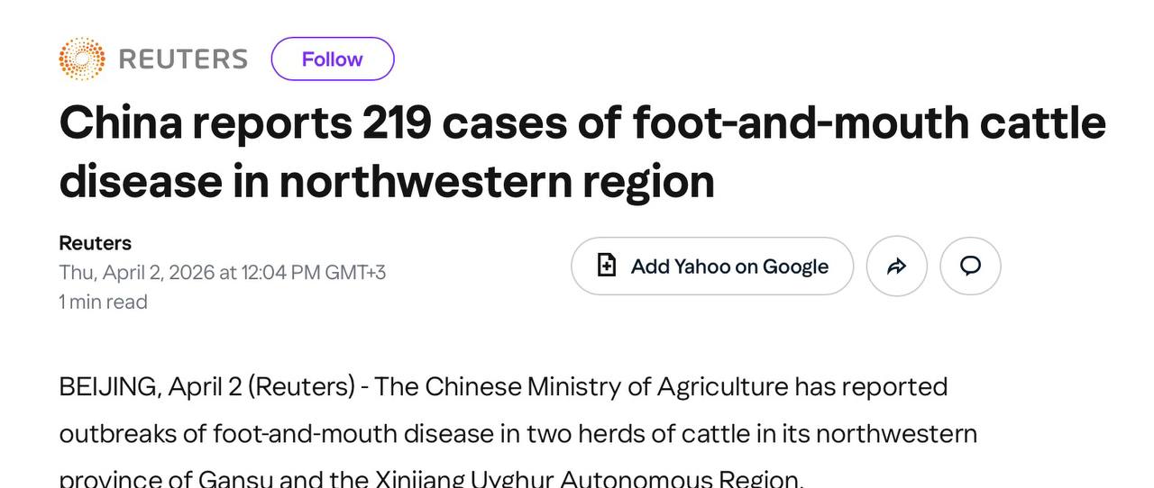 Олег Царёв: Reuters: в Китае началась мощная вспышка ящура, заболевание подтвердили уже у 219 голов крупного рогатого скота
