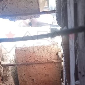 ��� ������: ����������� �����������. ��������� 33-�� ��������������� ����� ������� ������� ����� ������ ������