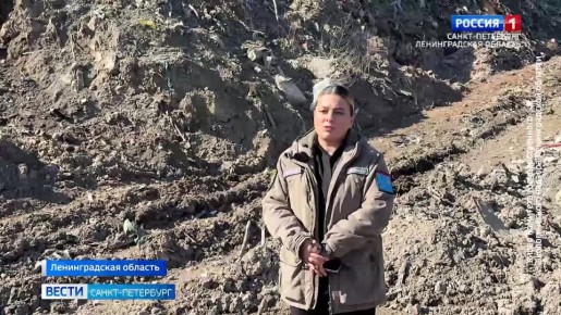 Эконадзор и судебные приставы проверят стихийный мусорный полигон возле Пулково