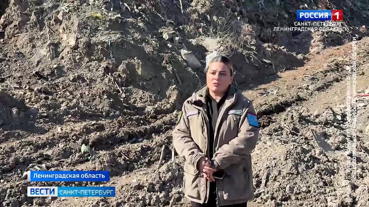 Эконадзор и судебные приставы проверят стихийный мусорный полигон возле Пулково