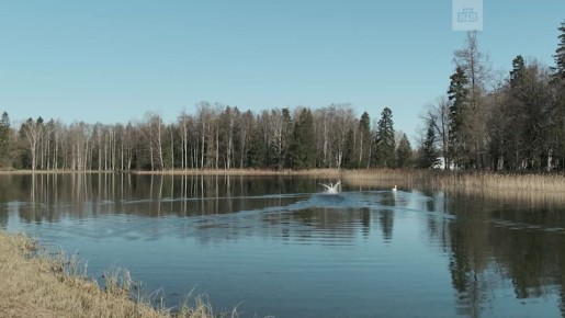 � ���� ����������� ���������� ����� ��������� ������