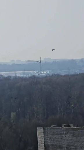 ���� ����: �� �� ����� ������� ����� �� �������� � 7 �������� �������: