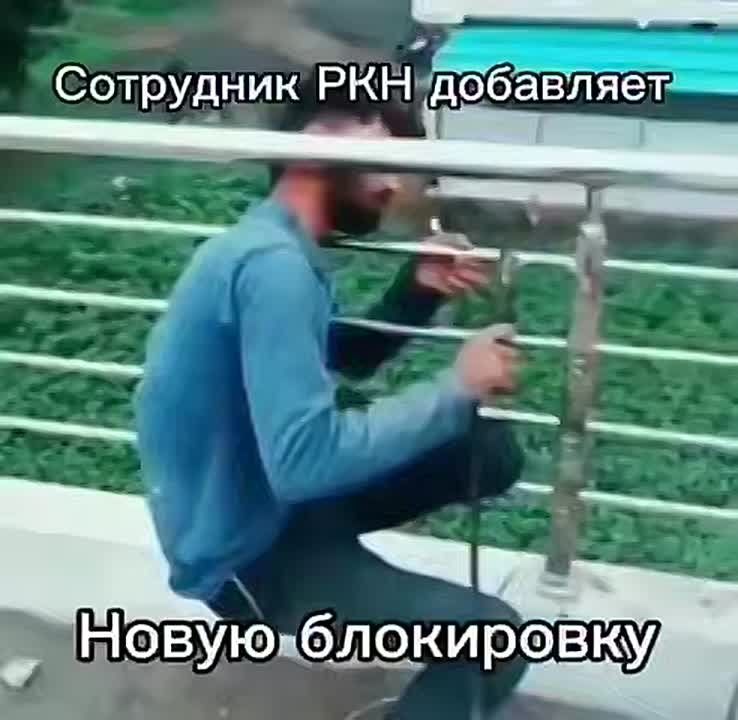 ���� ����: � ��� ������ �� �����: ��������������, �������� ��������� ���� ����� ���������� IP-�������, ������������ � ������ ���������� �������������� � ����� Mash