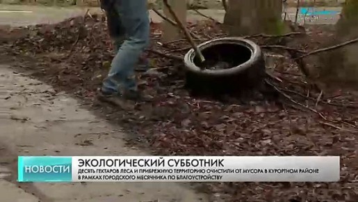 Любимые места прогулок горожан и лесные тропы в городских лесах становятся чище