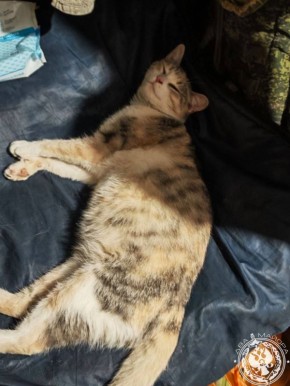 ��� ������: ������� ������ �������