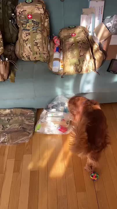 ���� ��������: ����� ��-�� ���� ������ ����� �� ����� ������ �� �������, ���� � ����� � ���� ���������� ��� �� 100 000 ������