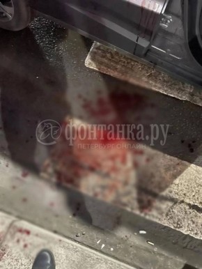 В центре Петербурга молодые люди устроили драку