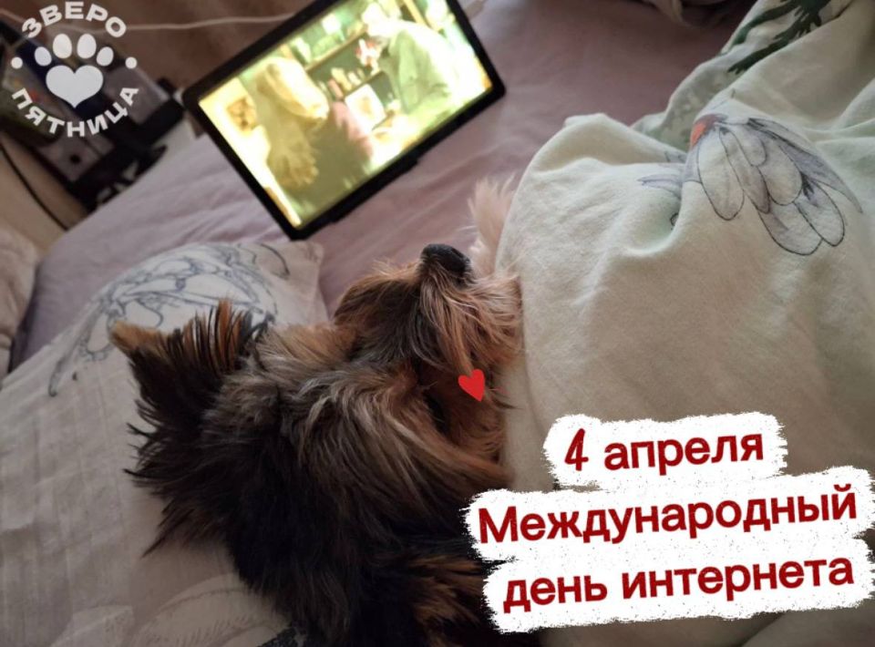 ������� � ������������� ���� ���������