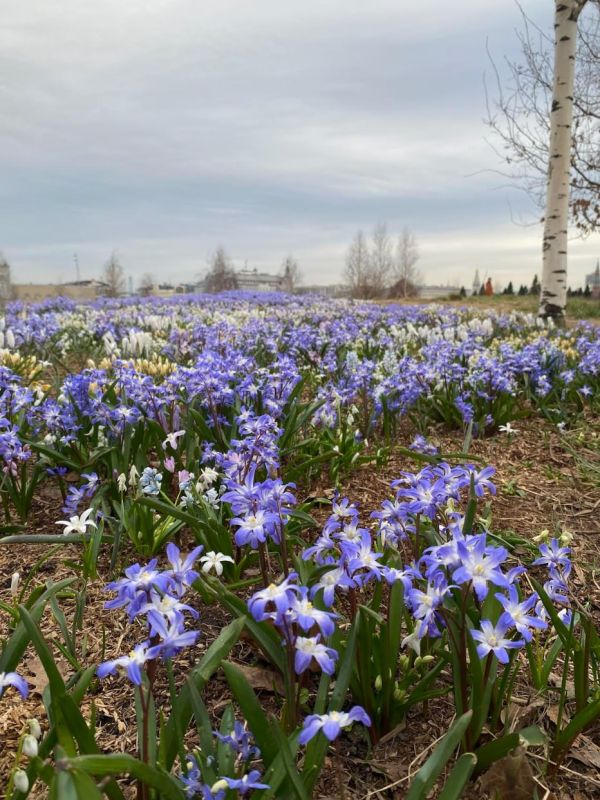 ����� �������: ����� ��������, ������ �����!