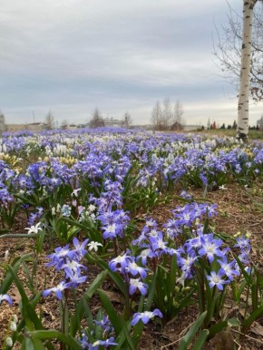 ����� �������: ����� ��������, ������ �����!