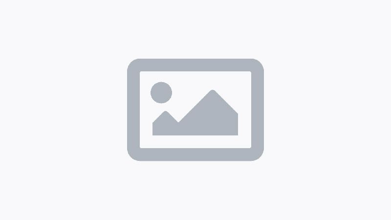 ������������ MAX �������, ��� Telegram ������������ �� ������� ����