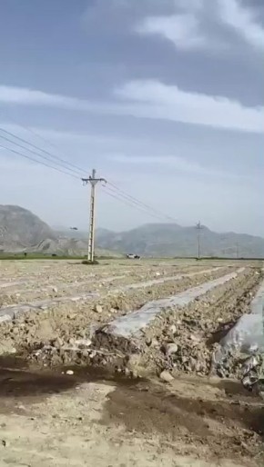 Юрий Подоляка: США окончили операцию по спасению пилотов F-15SE…