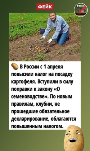 Фейк: С 1 апреля повысился налог на посадку картофеля