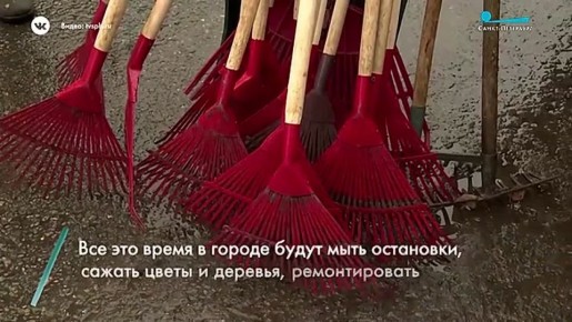 Экологический субботник проходит сегодня в городских лесах Петербурга