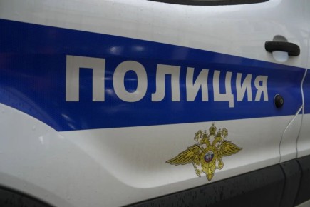 Двух сестёр 6 и 7 лет сбили на Ириновском проспекте на глазах у матери