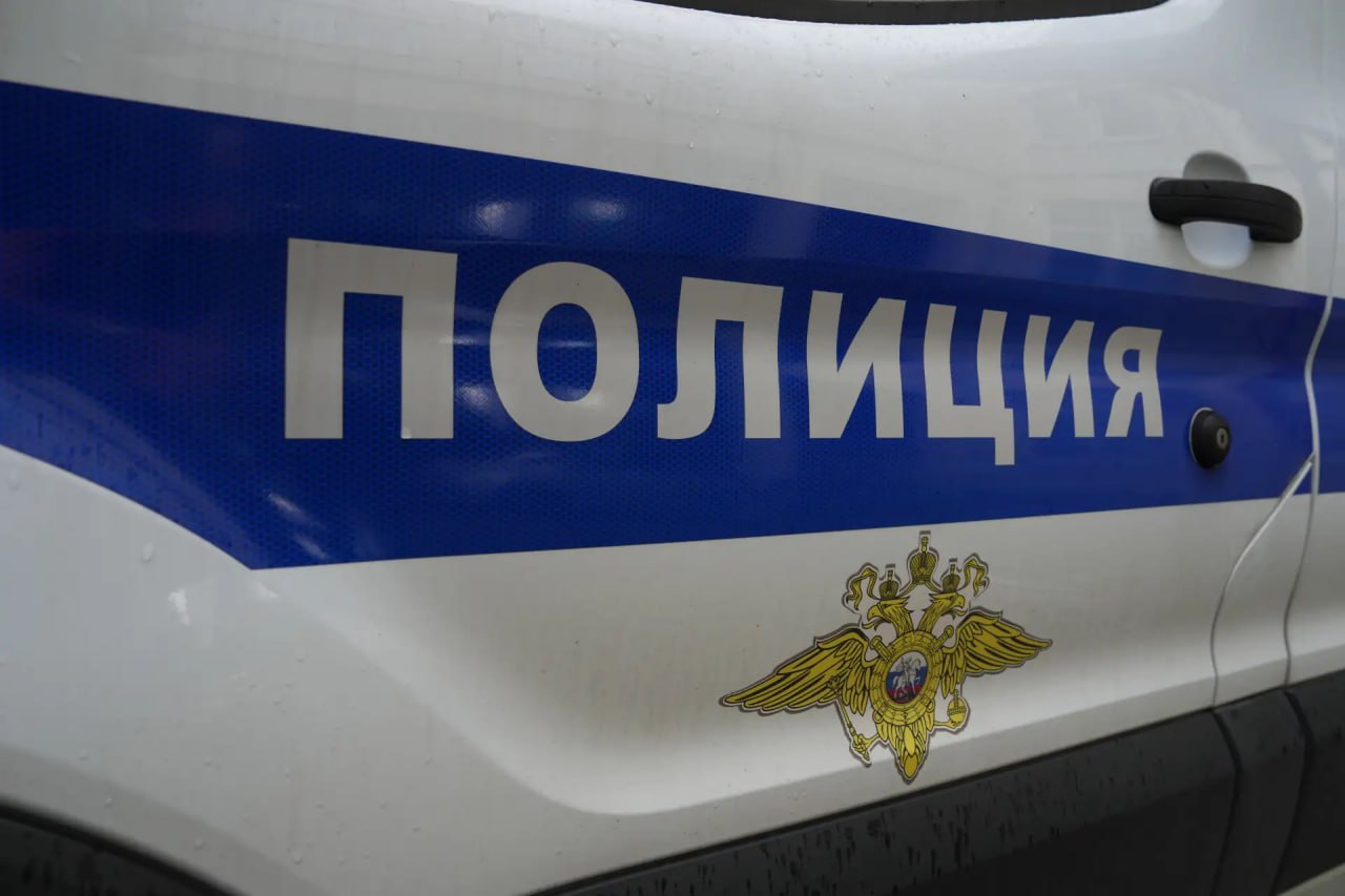 Двух сестёр 6 и 7 лет сбили на Ириновском проспекте на глазах у матери