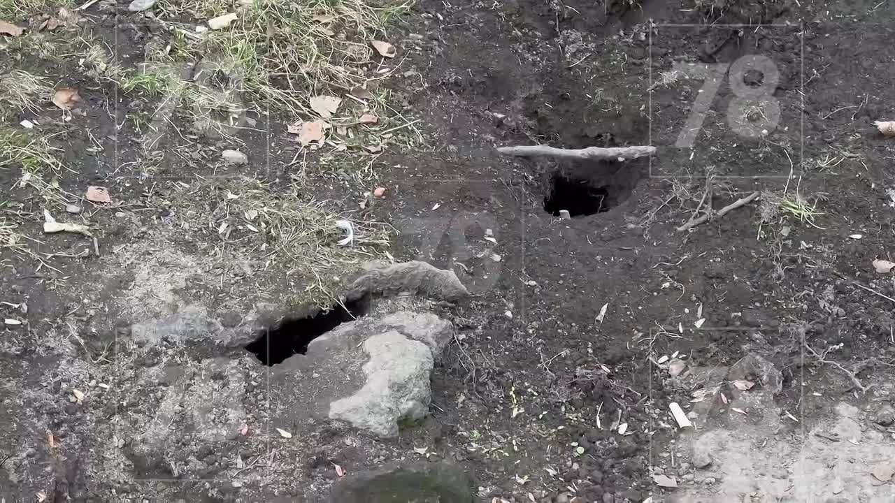 Бороться с крысами можно с помощью бутылок