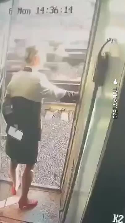 Пассажира, скинувшего проводницу из поезда Челябинск – Санкт-Петербург, задержали и передали полиции, сообщили РЕН ТВ в РЖД