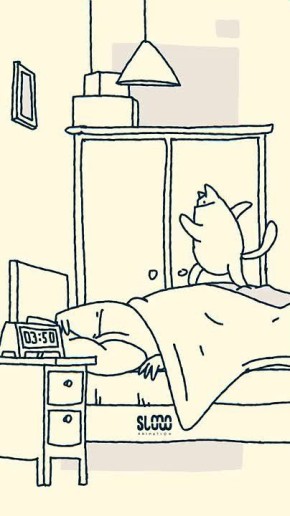 Это для нас ночь - время сна, а для котов - самая дискотека