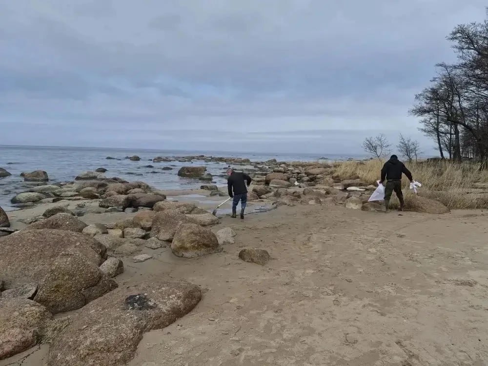 На берегу Финского залива, где сегодня обнаружили нефтепродукты, весь день шла уборка На берегу Финского залива, где сегодня обнаружили нефтепродукты, весь день шла уборка