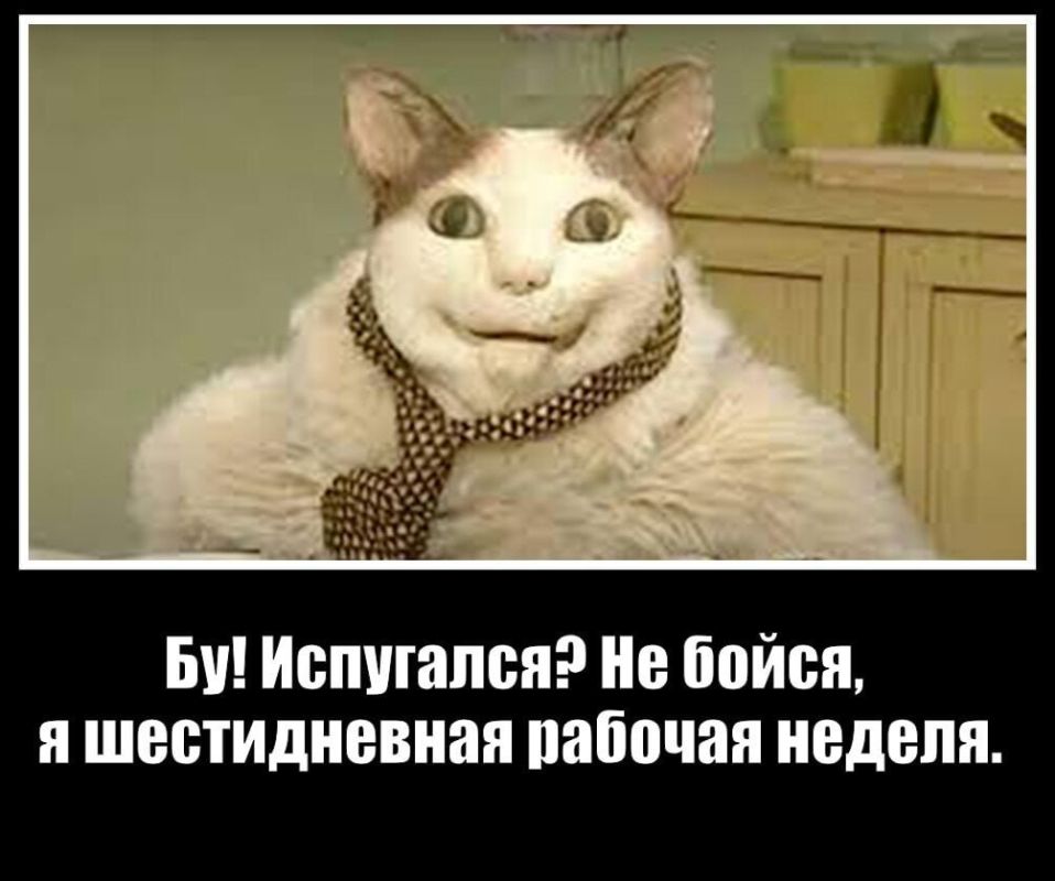 ������� �� ������������ ������� ������ � ������ �� ���������, ������� ����� ����������� ����� �������������� � ���������������� (����) ��������� �����