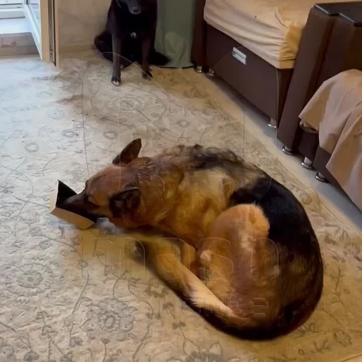 ��������� ������ ���� �������� ����� � ������ �������� ����������� ������ � �������� ������� � ��� ���� ������ �������� ������� ���������� � ��������� ����������� ��������� ��� ��� � ����