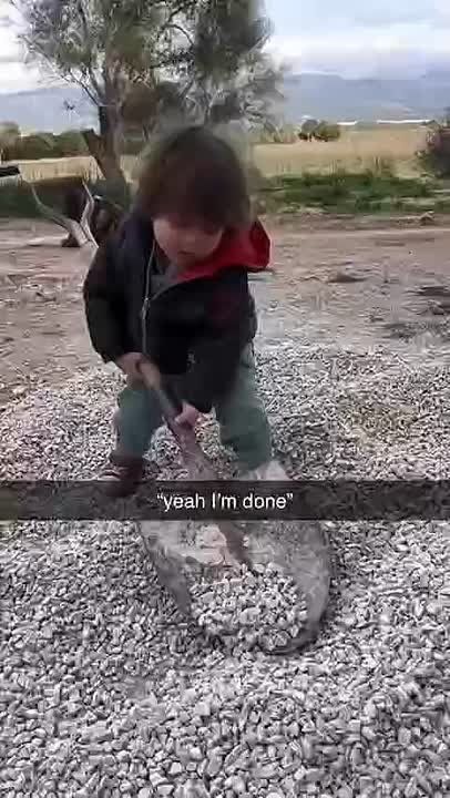 � ����������� ������ �������� ������