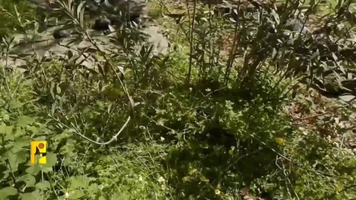 "Хезболла" устроили засаду на подразделение ЦАХАЛ, которое пыталось переправиться через реку в Южном Ливане