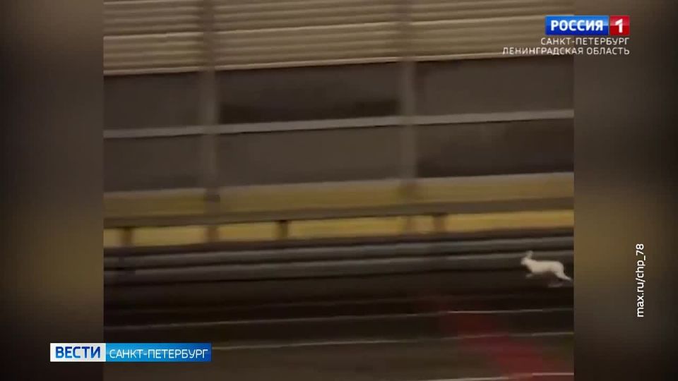 �� ��� �������� �������� ����� � ������ �����