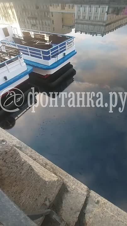 �� �������� �������� �������� �����