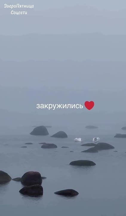 ��������� ����� �� ������� ������ � ������ ��������� �� �����������