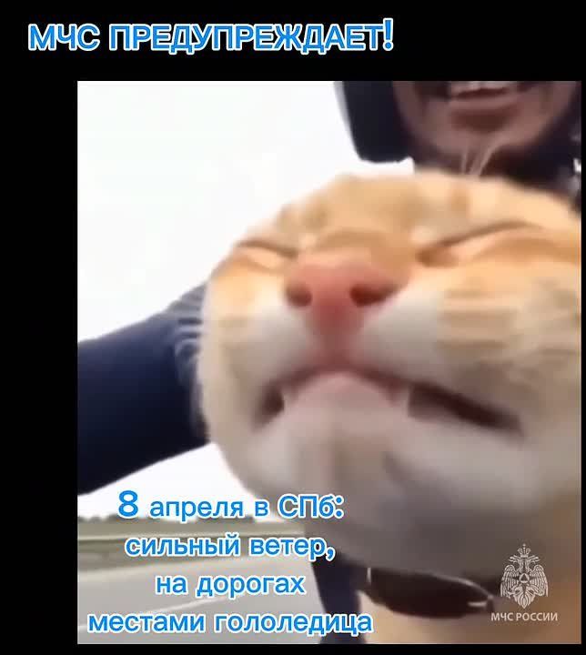 #���_���������� �������������: �� ���������� ���� "������-�������� ����", � �����-���������� 8 ������ ��������� ������ ����� �� 18 �/�
