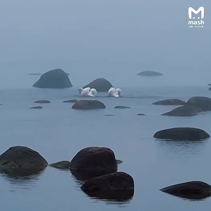 ����� ���������� ����� ���: ������� ������� �� ������� ������ �������� ������� ������� ����� � � ��� ��� �������� ���� ��� � �� ��� ������ �������� �����