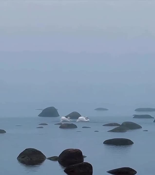 �� ������� ������ ����������� ��������� ������